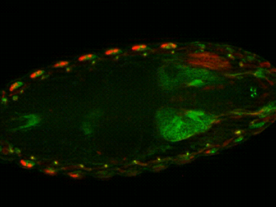 1642736105774029.png image.png