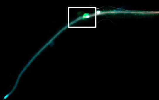 1642736172957007.png image.png