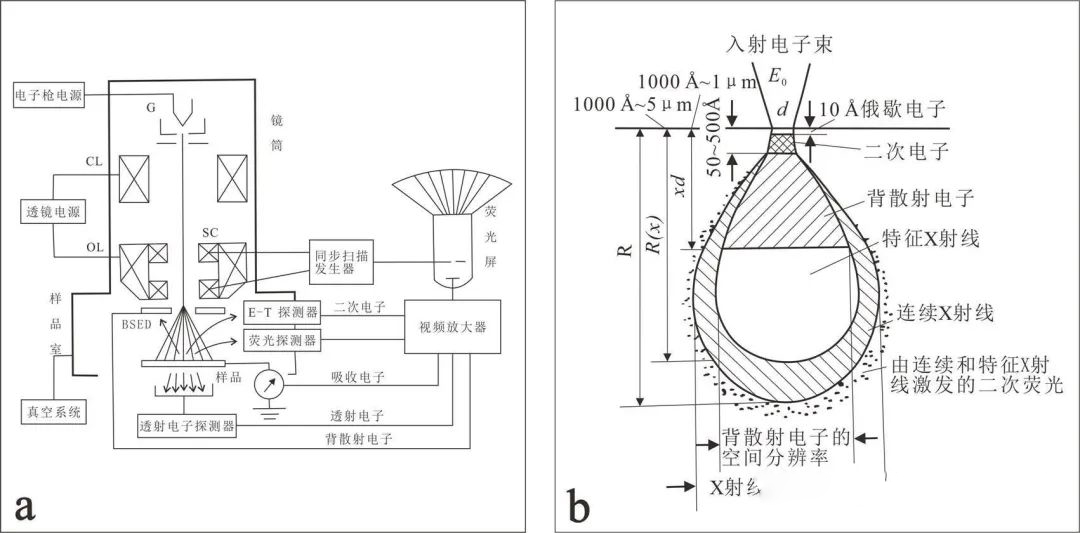 1682574732859209.jpg 3.jpg
